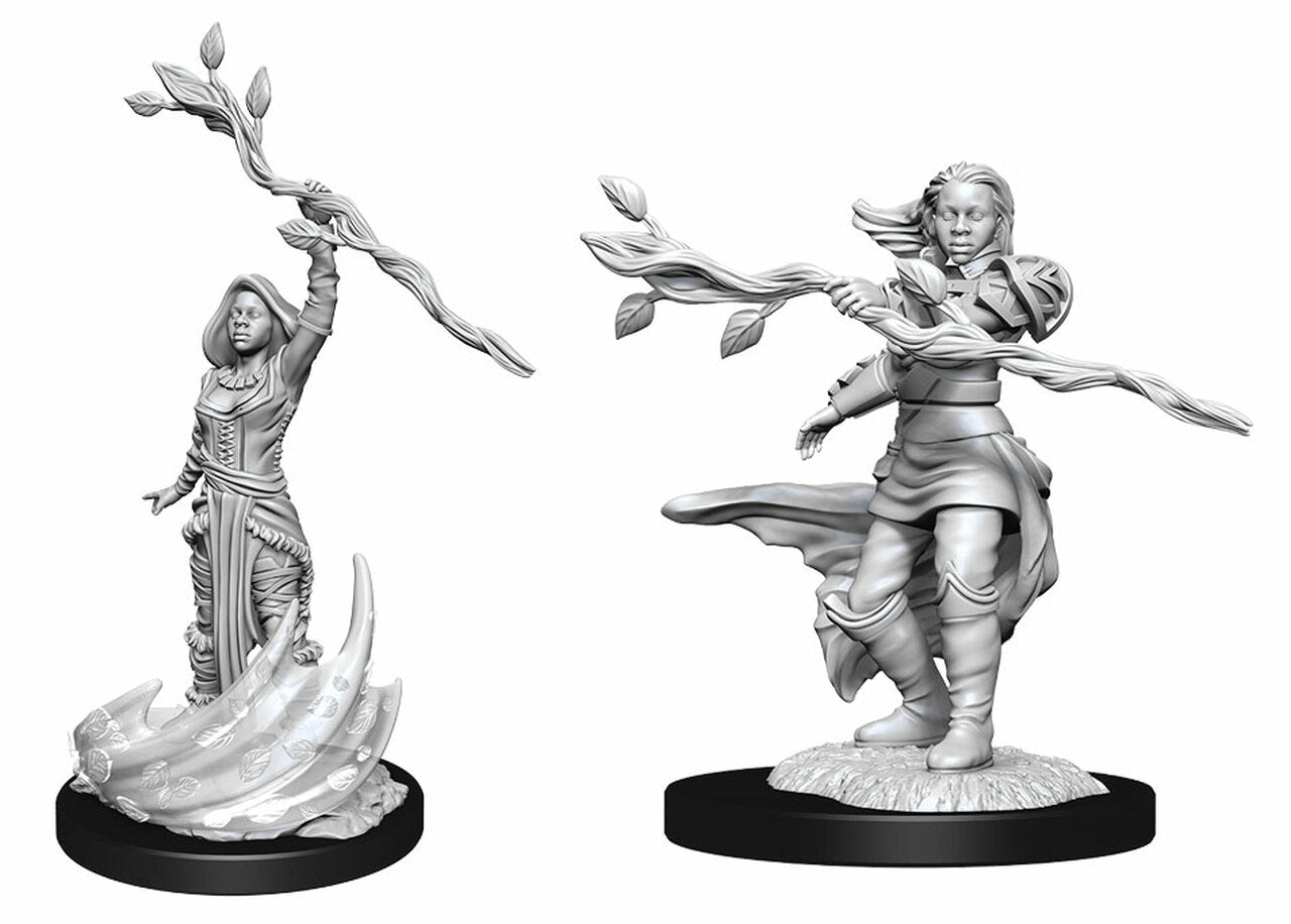 D&D Nolzur's Marvelous Miniatures: Human Druid | Galactic Gamez