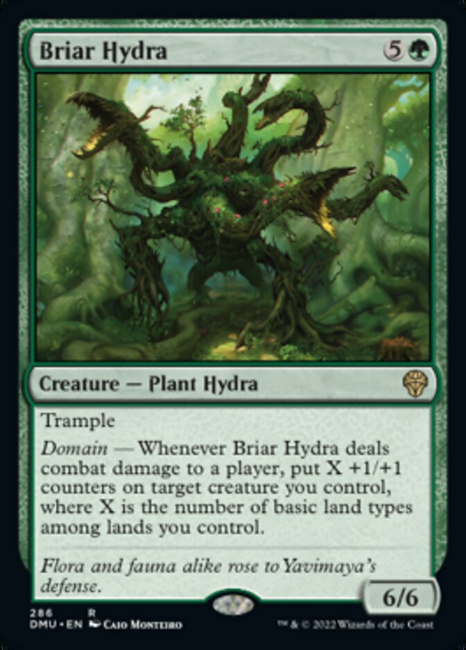 Briar Hydra [Dominaria United] | Galactic Gamez