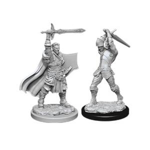 D&D Nolzur's Marvelous Miniatures: Human Paladin | Galactic Gamez