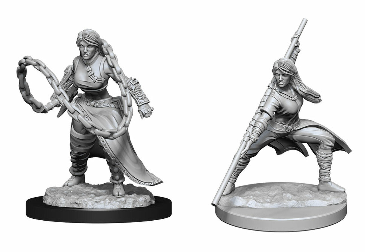 D&D Nolzur's Marvelous Miniatures: Human Monk | Galactic Gamez