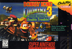 Donkey Kong Country 3 - Super Nintendo | Galactic Gamez