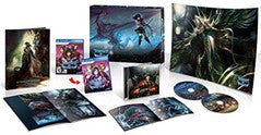 Stranger of Sword City Limited Edition - Playstation Vita | Galactic Gamez