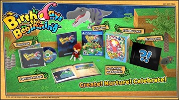Birthdays the Beginning Limited Edition - Playstation 4 | Galactic Gamez