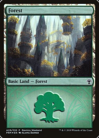 Forest - Selesnya (A09) [GRN Ravnica Weekend] | Galactic Gamez