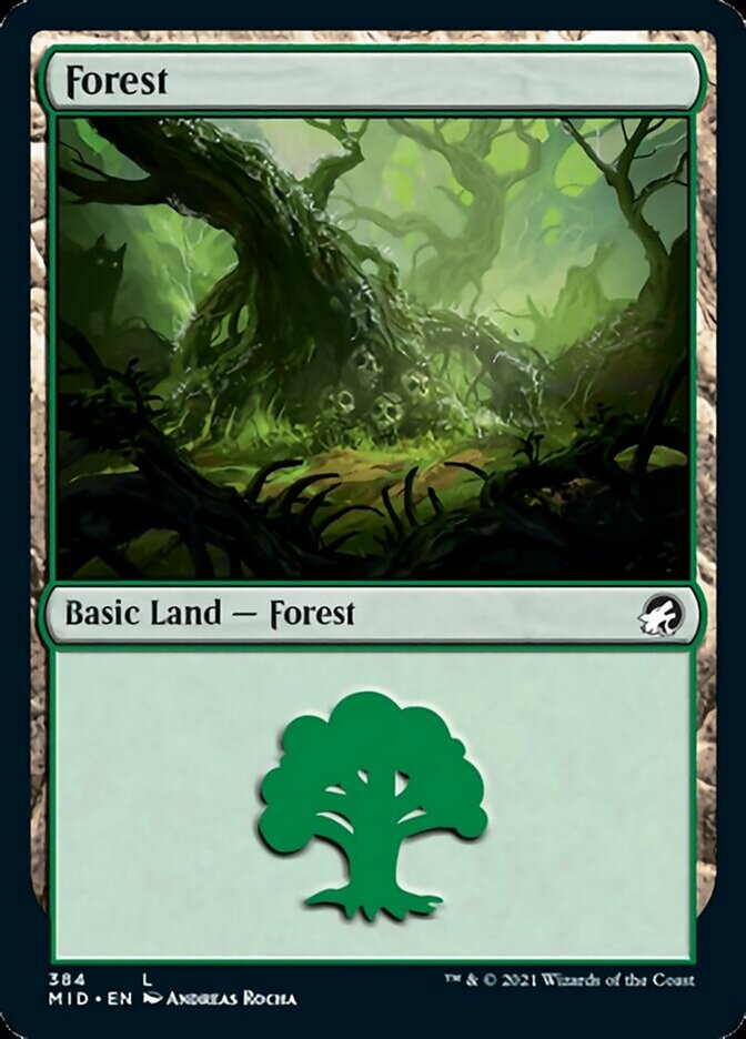 Forest (384) [Innistrad: Midnight Hunt] | Galactic Gamez