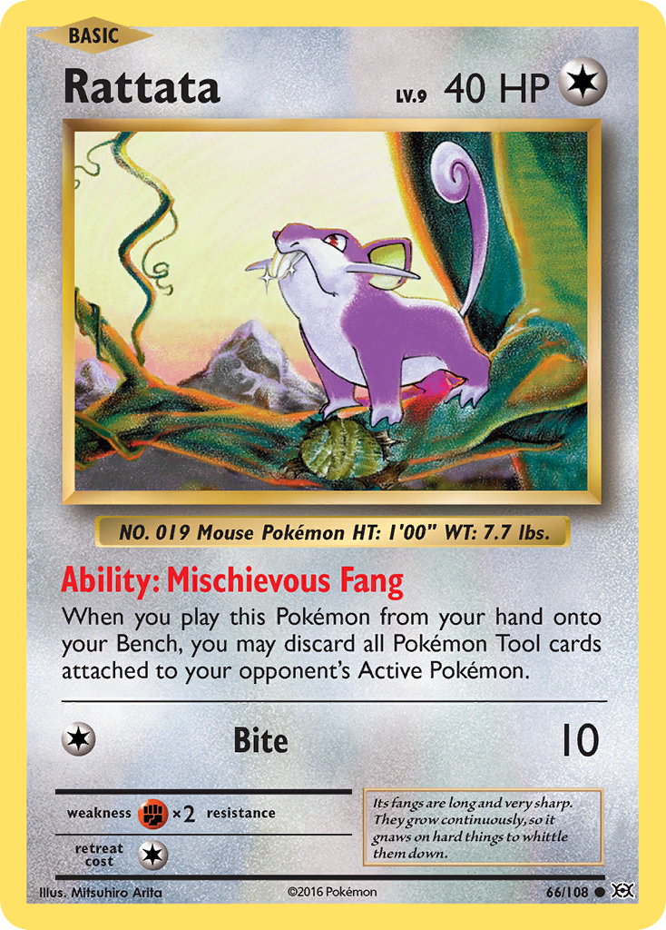 Rattata (66/108) [XY: Evolutions] | Galactic Gamez