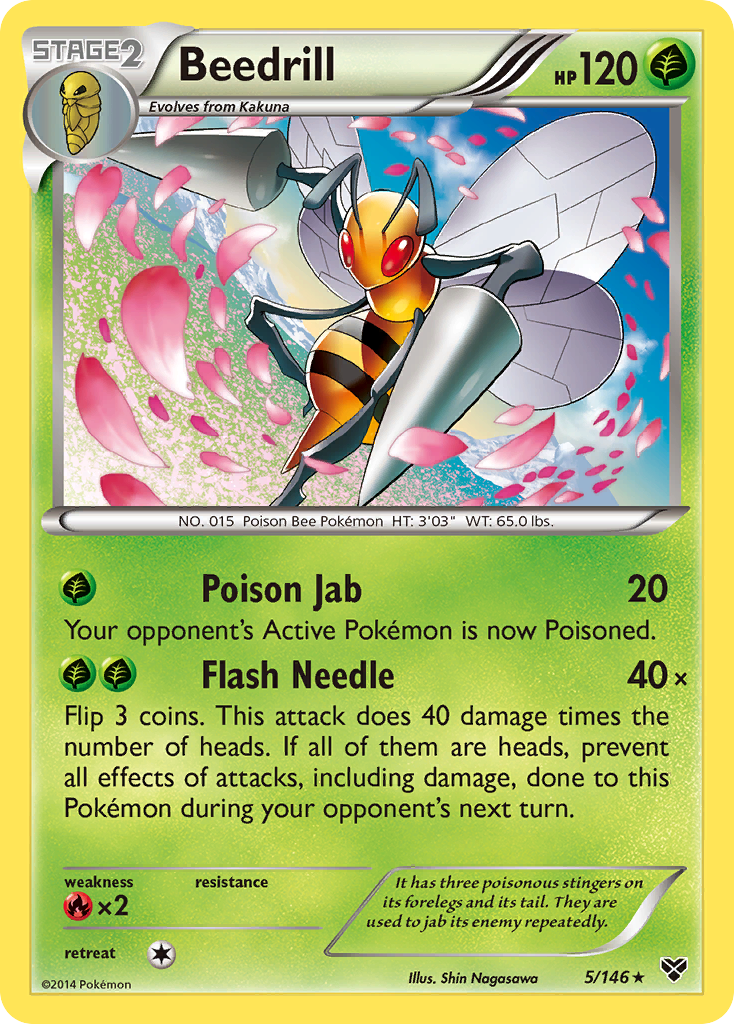 Beedrill (5/146) [XY: Base Set] | Galactic Gamez