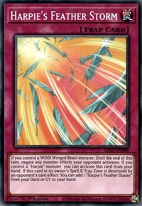 Harpie's Feather Storm [LDS2-EN088] Common | Galactic Gamez