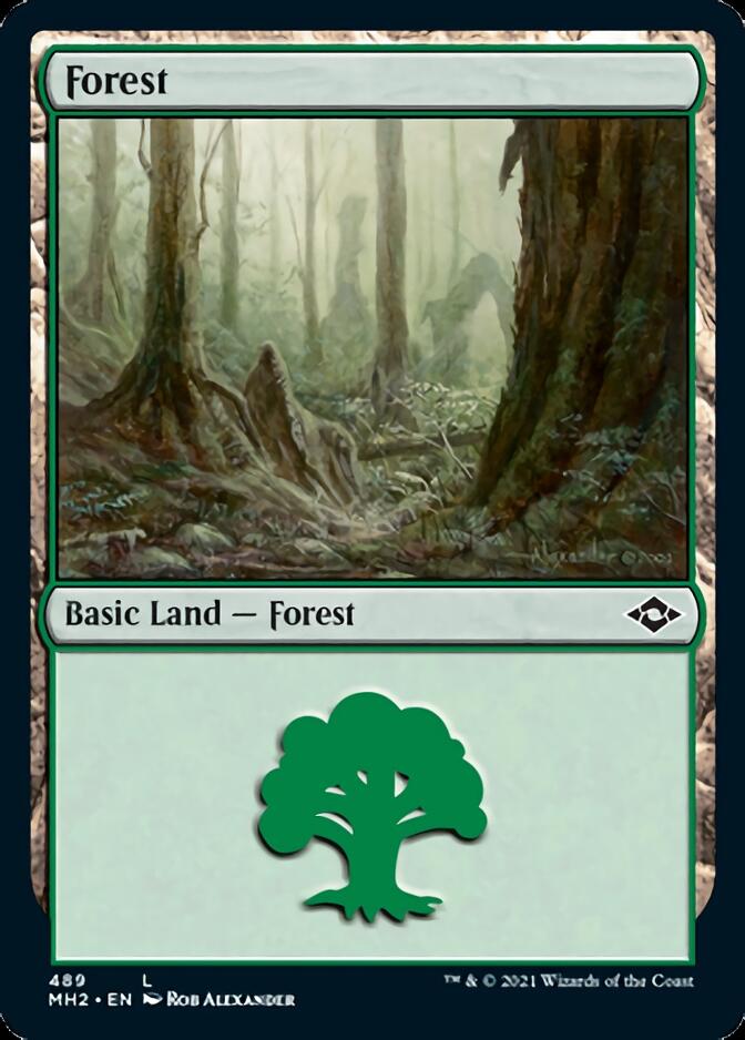 Forest (489) (Foil Etched) [Modern Horizons 2] | Galactic Gamez