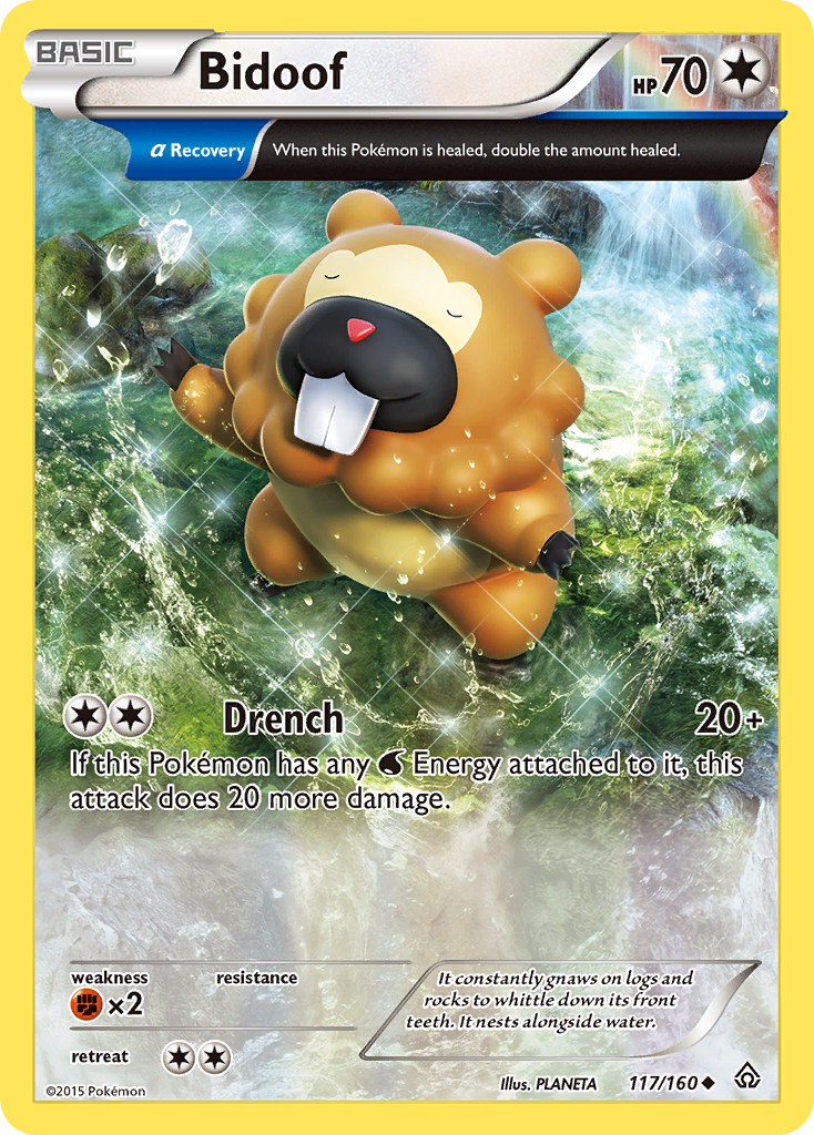 Bidoof (117/160) [XY: Primal Clash] | Galactic Gamez