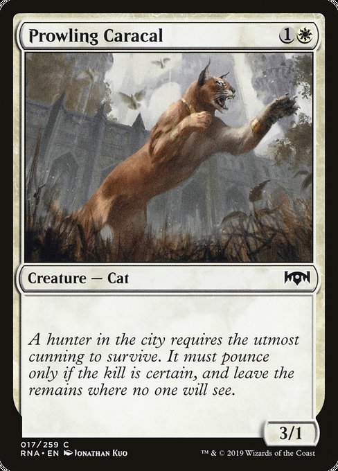 Prowling Caracal [Ravnica Allegiance] | Galactic Gamez
