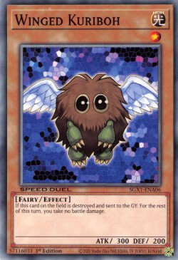 Winged Kuriboh [SGX1-ENA06] Common | Galactic Gamez