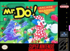 Mr. Do! - Super Nintendo | Galactic Gamez