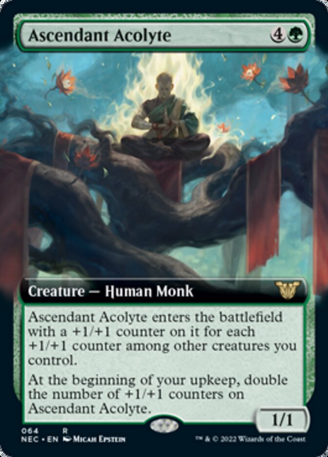 Ascendant Acolyte (Extended) [Kamigawa: Neon Dynasty Commander] | Galactic Gamez