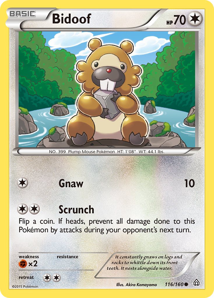 Bidoof (116/160) [XY: Primal Clash] | Galactic Gamez