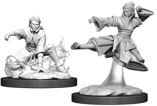 D&D Nolzur's Marvelous Miniatures: Human Monk | Galactic Gamez