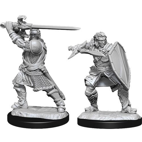 D&D Nolzur's Marvelous Miniatures: Human Paladin | Galactic Gamez